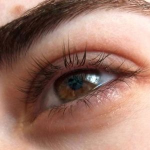 Meet your Posher, Lilliann